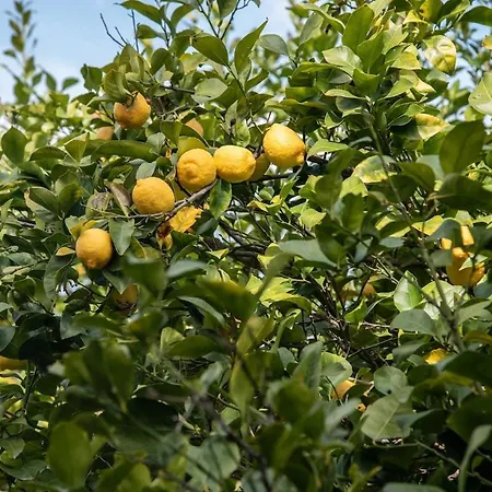 Beachfront House Thalassography Hébergement de vacances Diaporos
