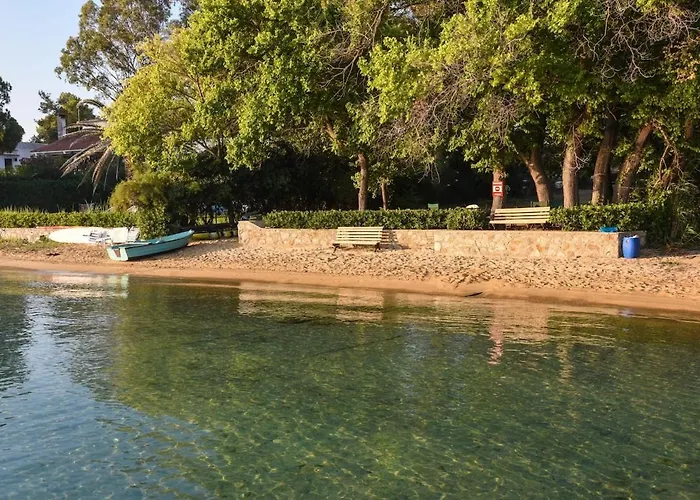 Beachfront House Thalassography