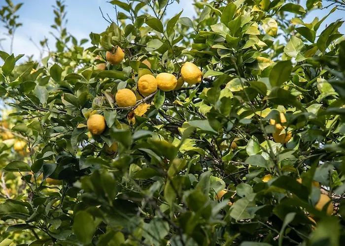 Beachfront House Thalassography 度假居 Diaporos