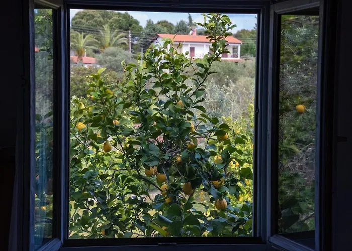 度假居 Beachfront House Thalassography Diaporos