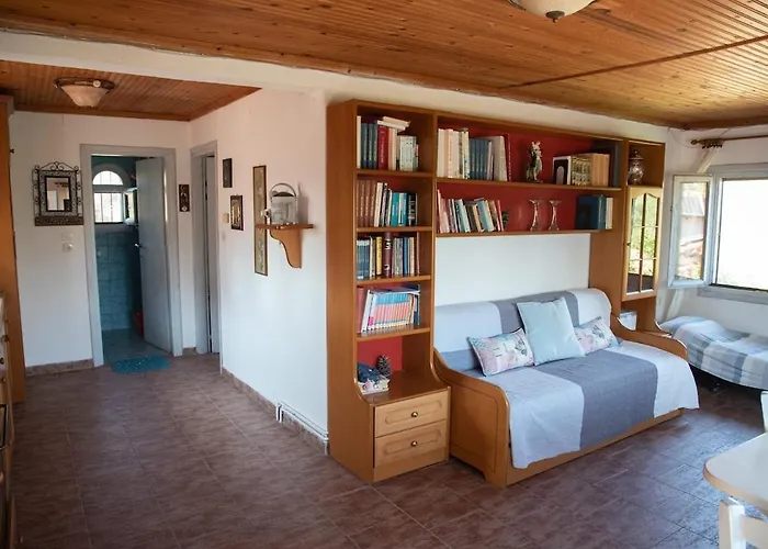 度假居 Beachfront House Thalassography Diaporos