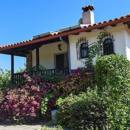 Beachfront House Thalassography