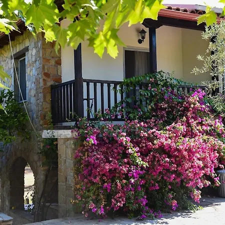 Beachfront House Thalassography * Diaporos