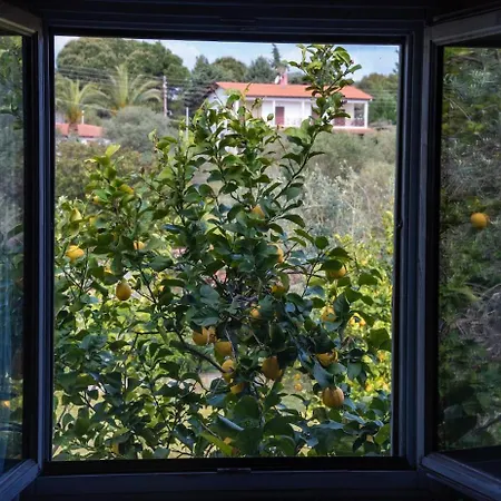 Case de vacanță Beachfront House Thalassography Diaporos