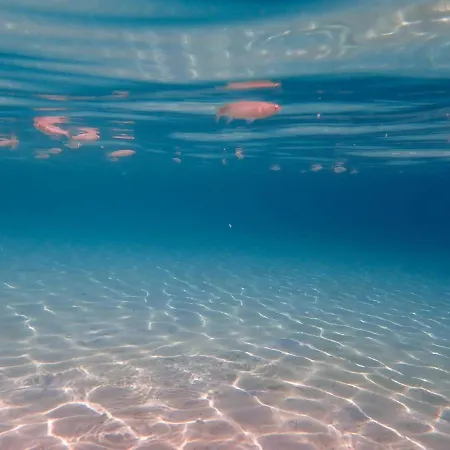 Case de vacanță Beachfront House Thalassography *