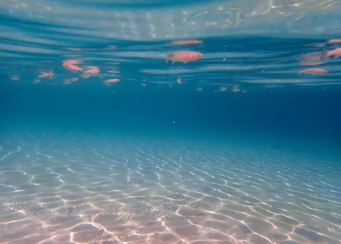 Σπίτι διακοπών Beachfront House Thalassography *